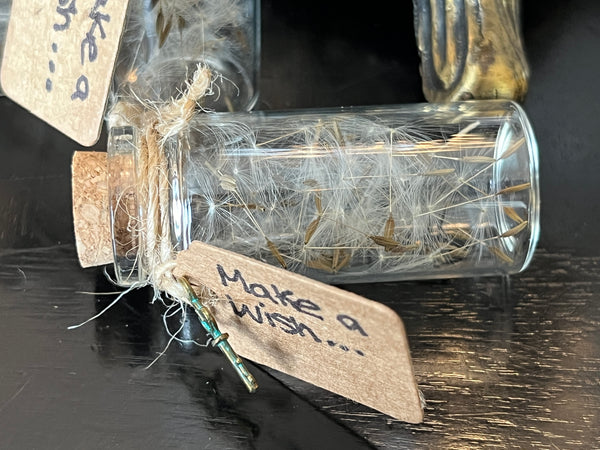 Small Make a Wish Bottles