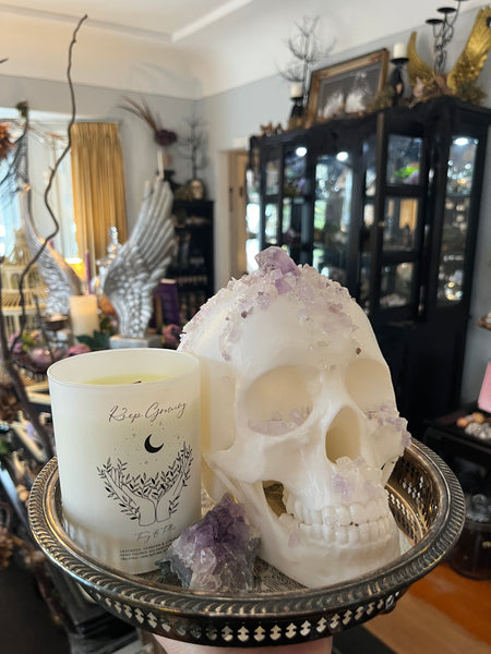 Amethyst’s on White Enviro Skull
