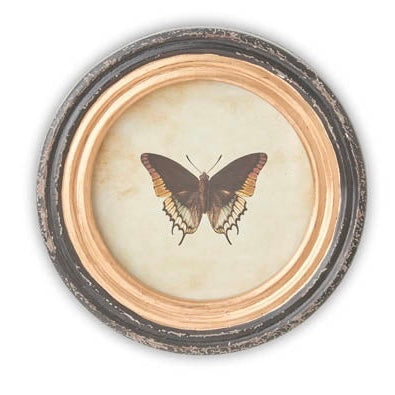 Black Round Framed Butterfly Prints w/ Blk & Gold