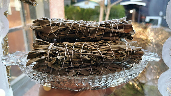 White Sage Cleansing Stick - 6” Long - Locally & Organic Grown
