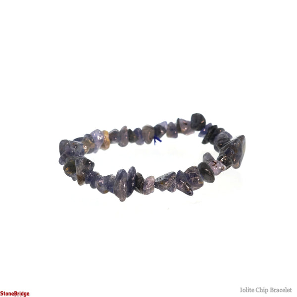 Chip Gemstone Bead Stretch Bracelet