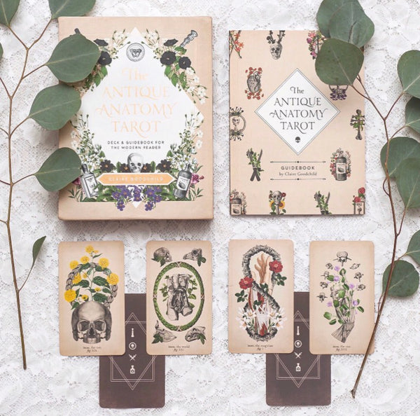 Antique Anatomy Tarot Kit