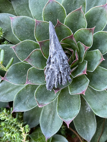 Black Kyanite