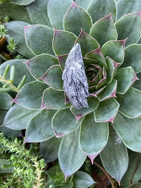 Black Kyanite