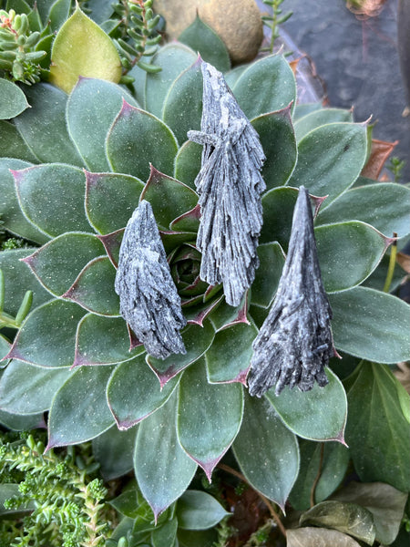 Black Kyanite