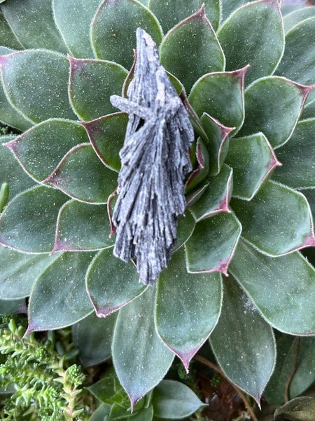 Black Kyanite