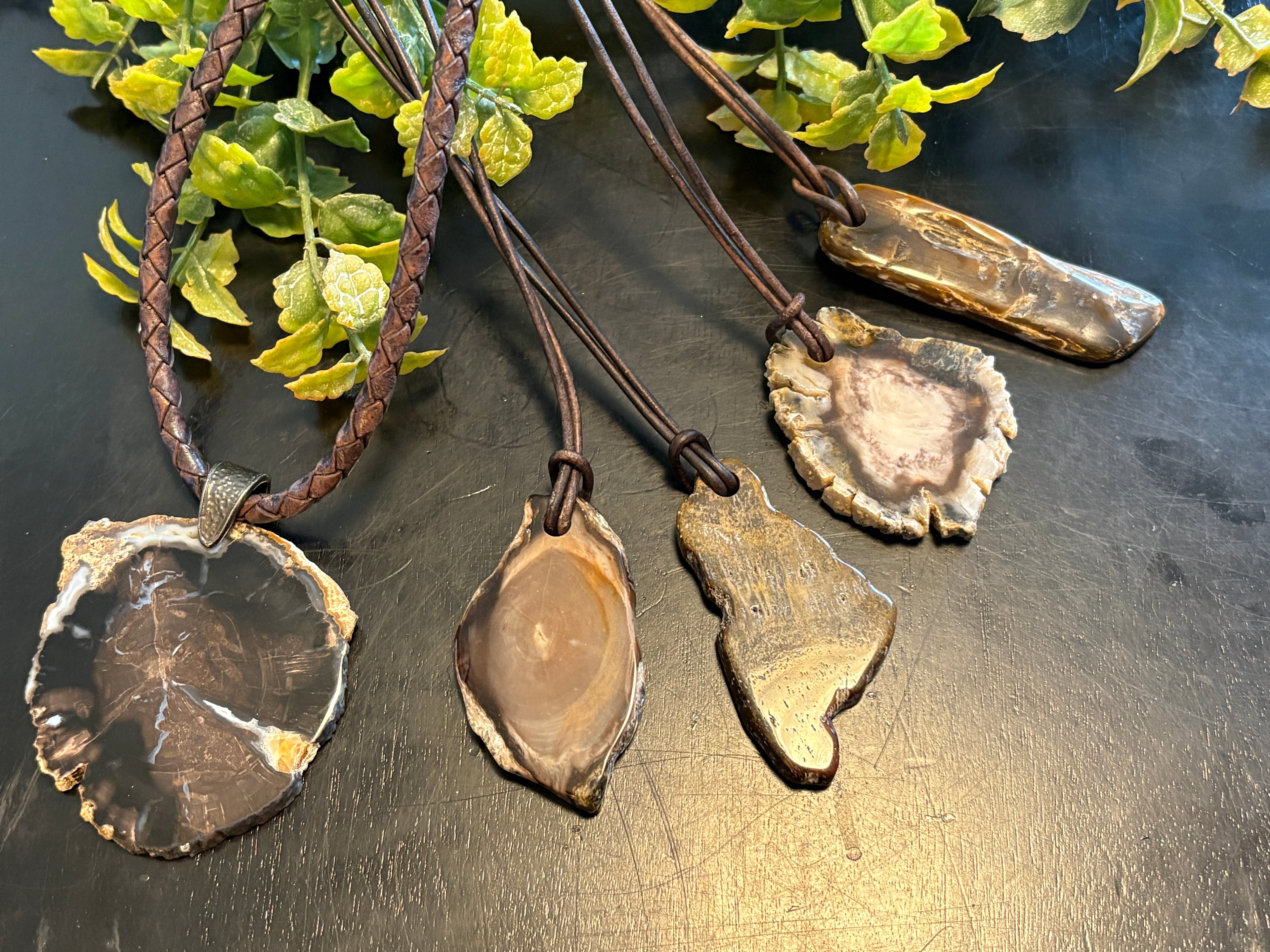 Brent McMaster – Petrified Wood