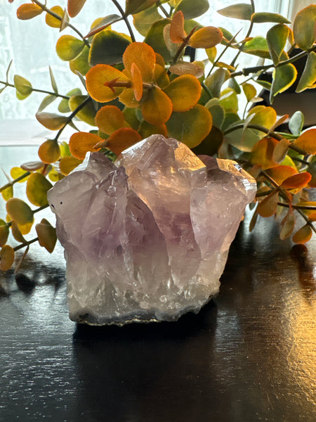 Amethyst Druzy Cluster (3)