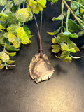 Petrified Wood Necklace LN2