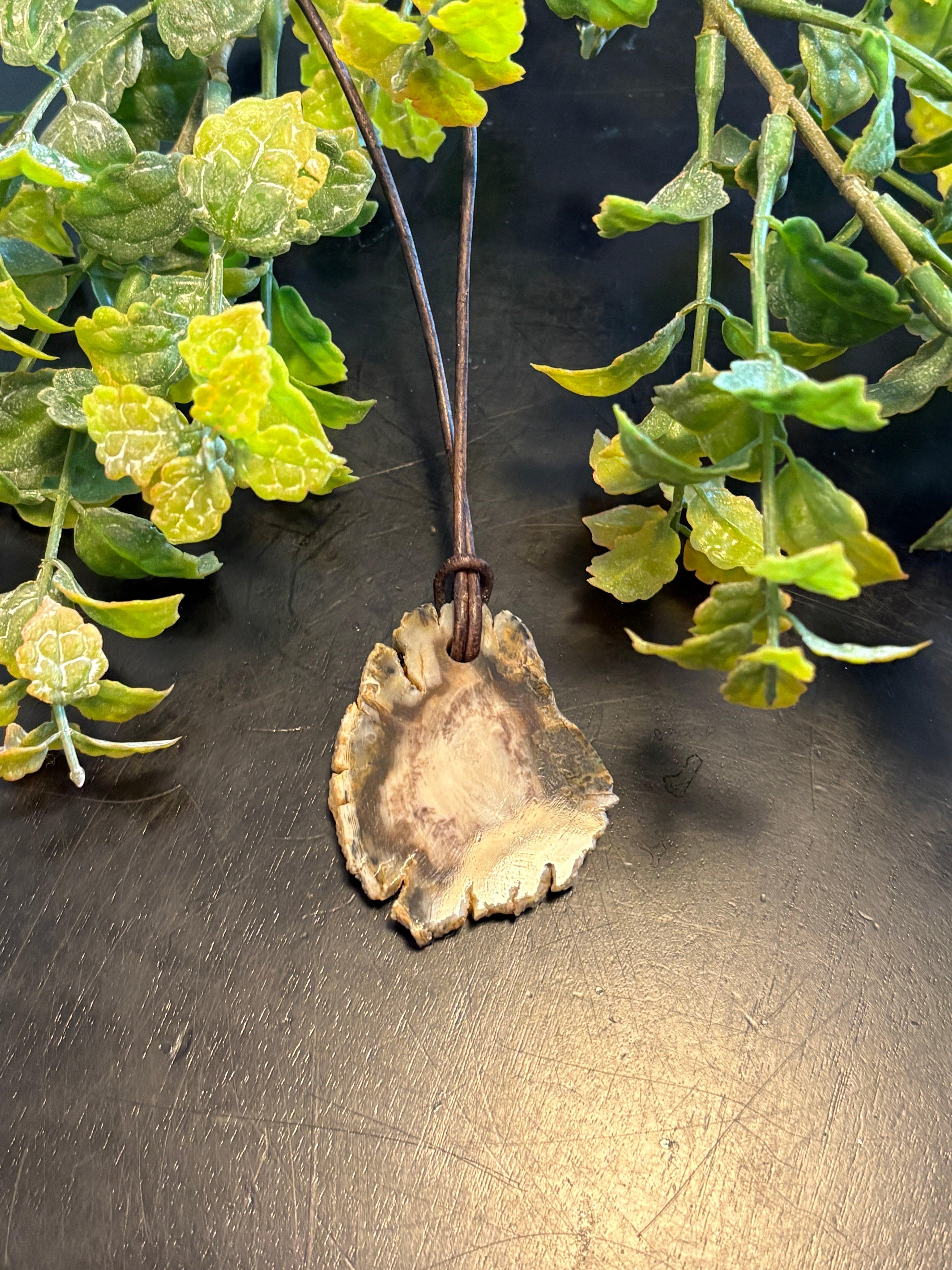 Petrified Wood Necklace LN2
