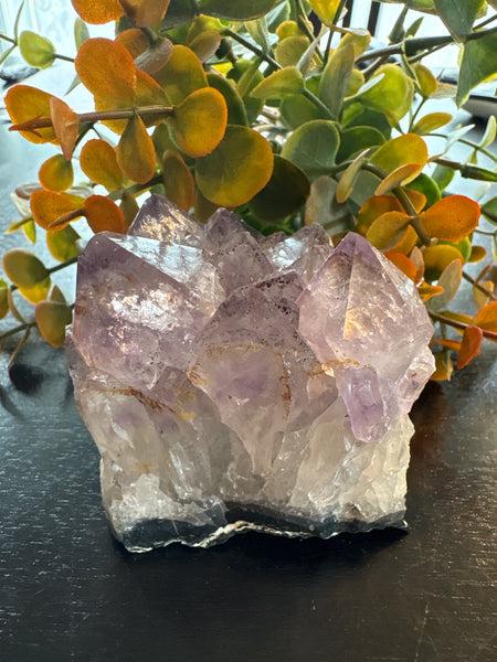 Amethyst Druzy Cluster (3)