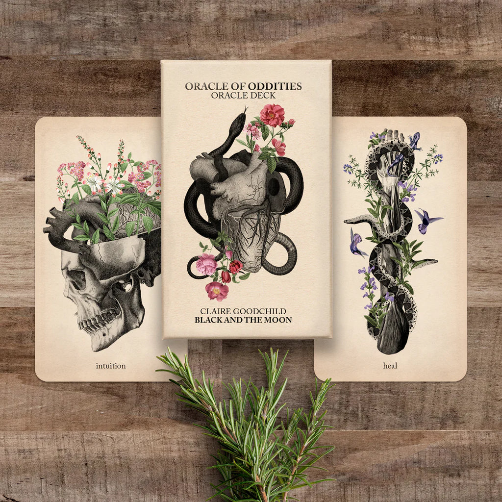 Oracle of Oddities: Oracle Deck