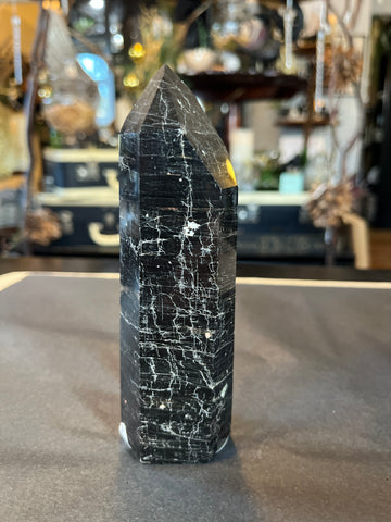 Black Tourmaline w/ Hematite Generator #6