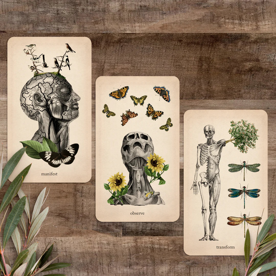 Oracle of Oddities: Oracle Deck