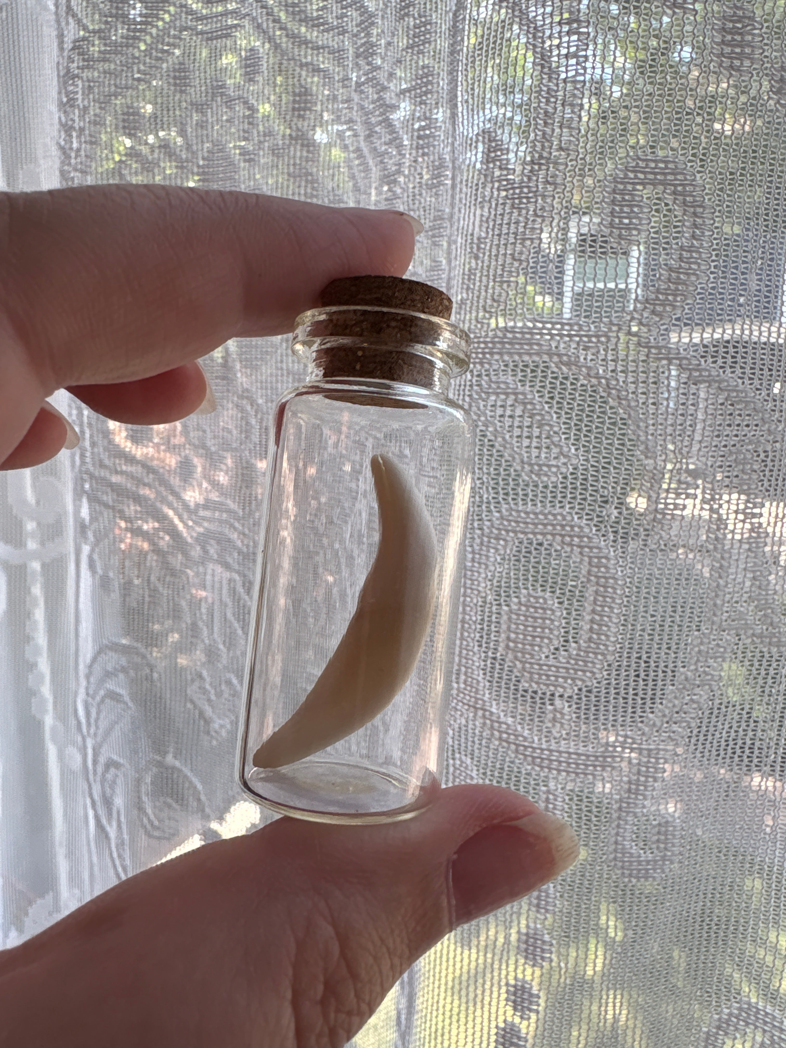 Dead Petal Studio – Bone Specimen Jar