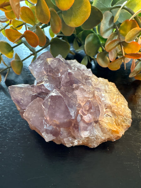 Amethyst Druzy Cluster (3)