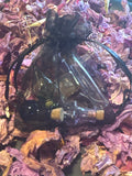 Mini Wish Bottles (5pk) – Charged with Love & Intention