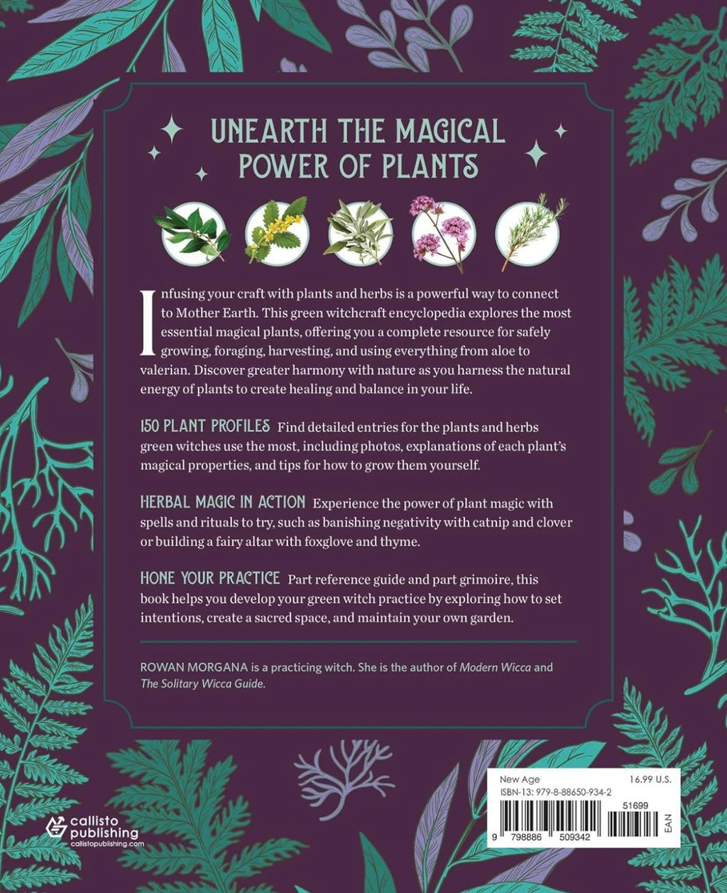The Green Witch's Herb & Plant Encyclopedia (hc)