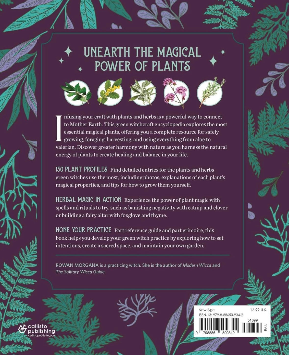 The Green Witch's Herb & Plant Encyclopedia (hc)