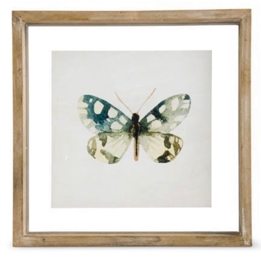 Whitewashed Shadowbox Framed Butterfly Print