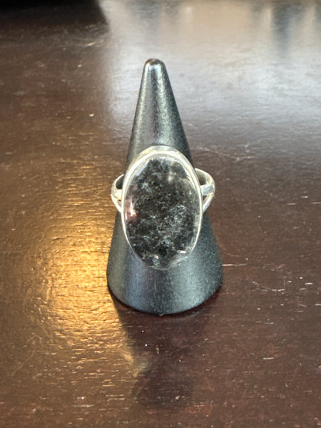 Silver .925 Nuummite Ring (162)