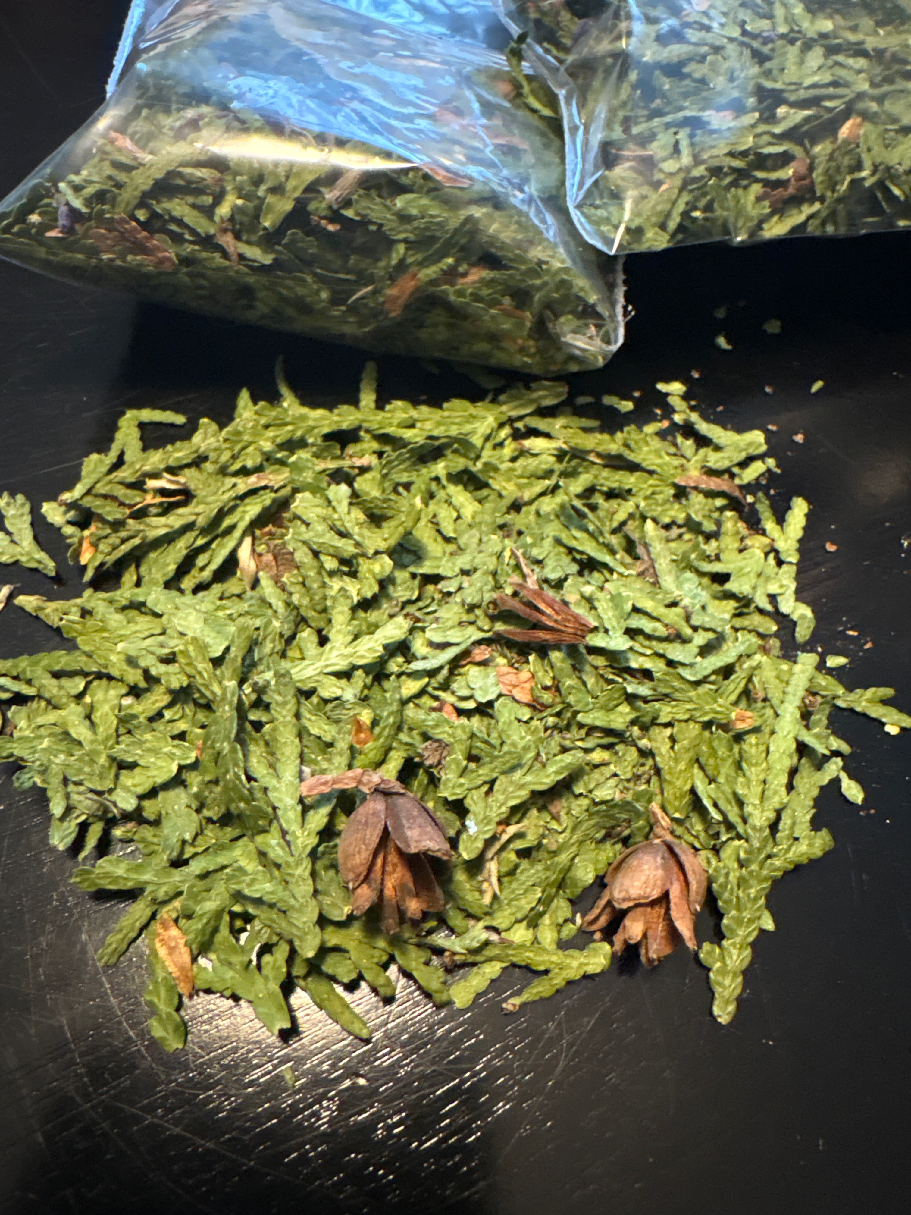 Cedar Dried Leaves