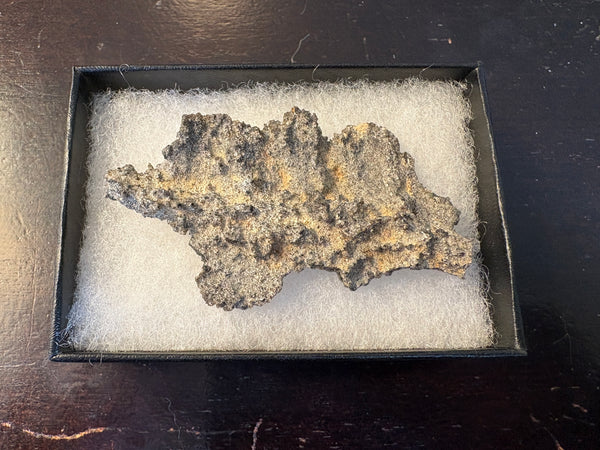 Fulgurite Petrified Lightning