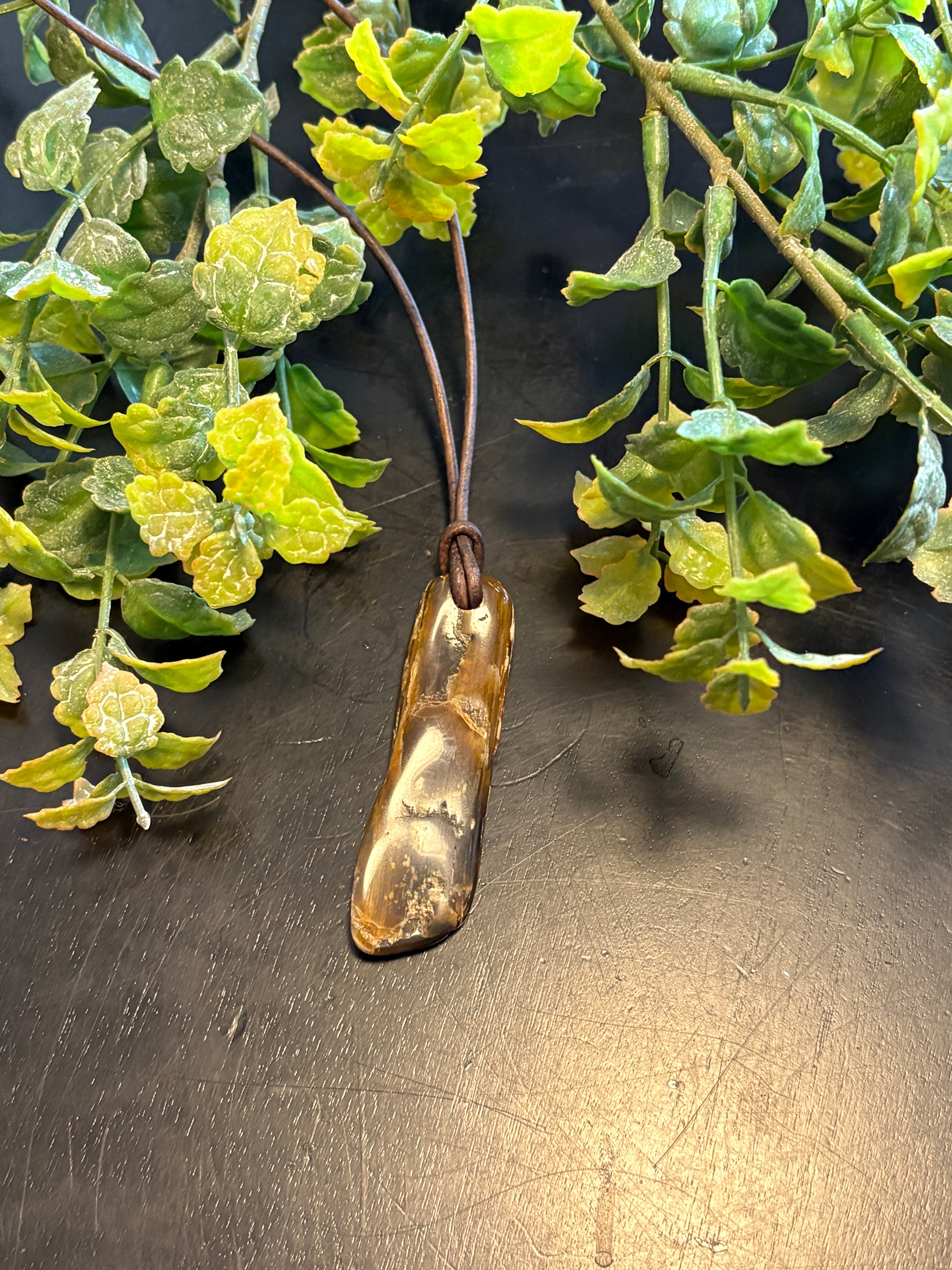 Petrified Wood Necklace LN5
