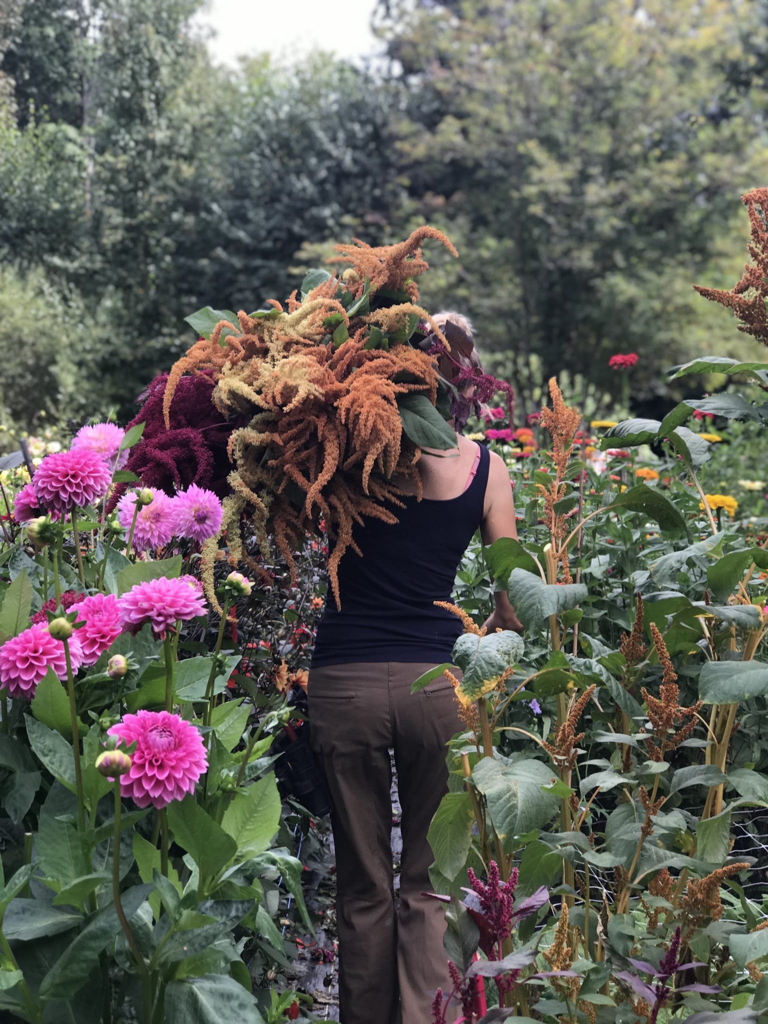 Besom & Botanicals ~ September 11, 2026