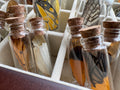 Dead Petal Studio – Butterfly Wing Specimen Jar