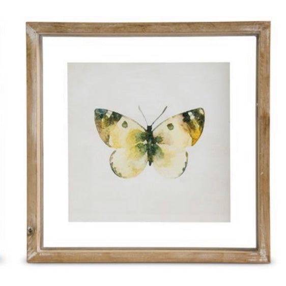 Whitewashed Shadowbox Framed Butterfly Print