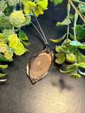 Petrified Wood Necklace LN1