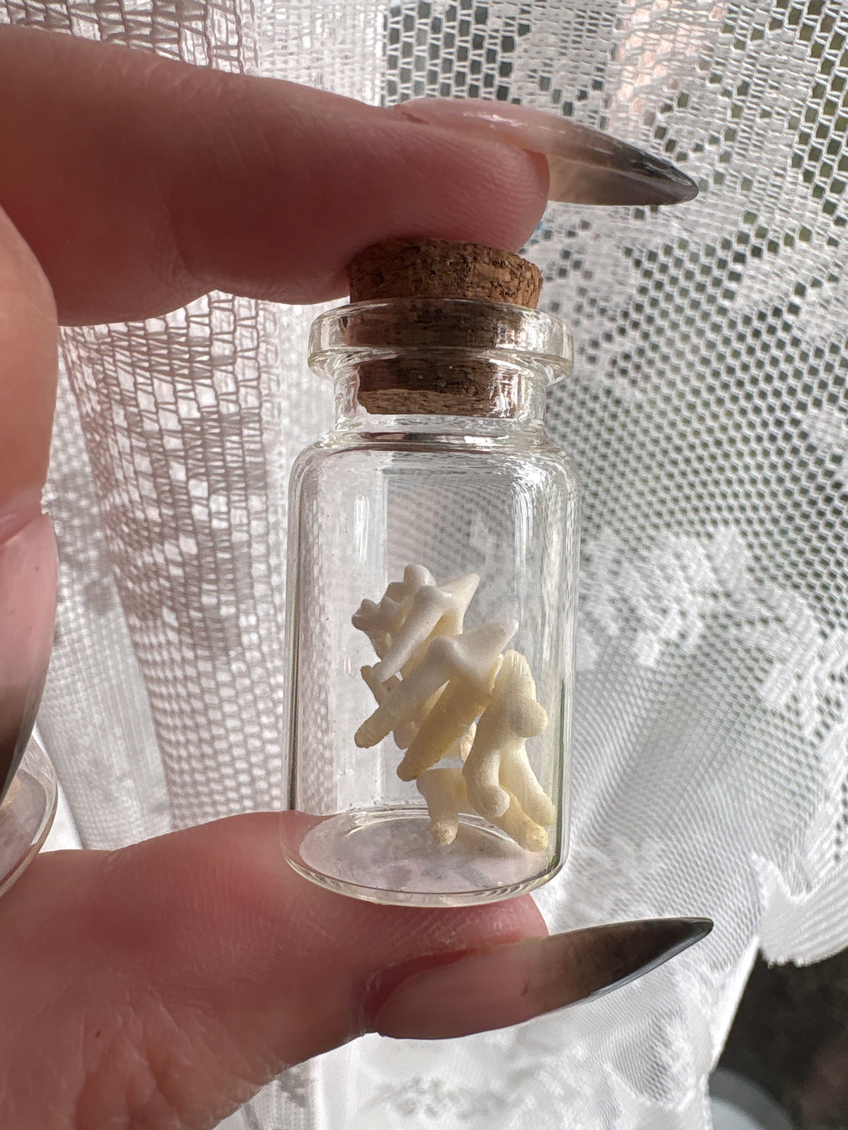 Dead Petal Studio – Bone Specimen Jar