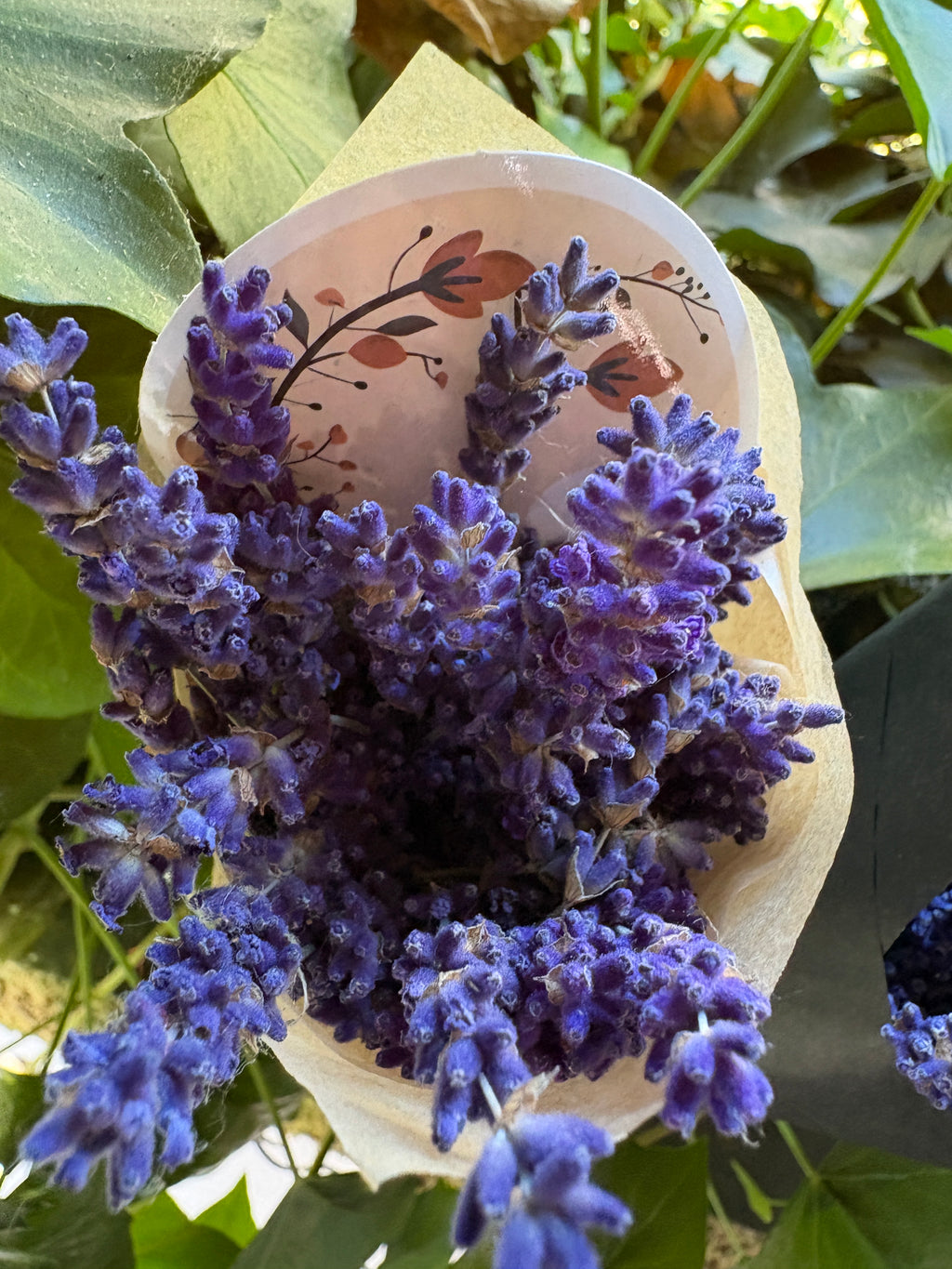 Homegrown Lavender Ritual Bundle | Hand Harvested Dried Lavender