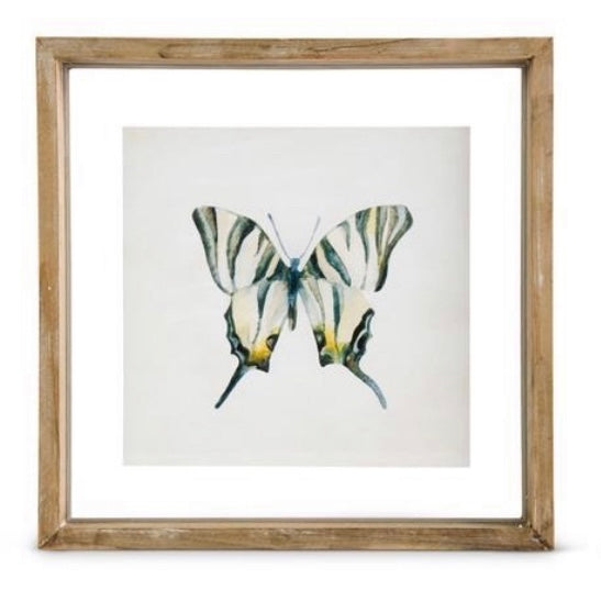 Whitewashed Shadowbox Framed Butterfly Print