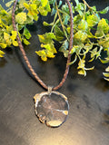 Petrified Wood Necklace LN20