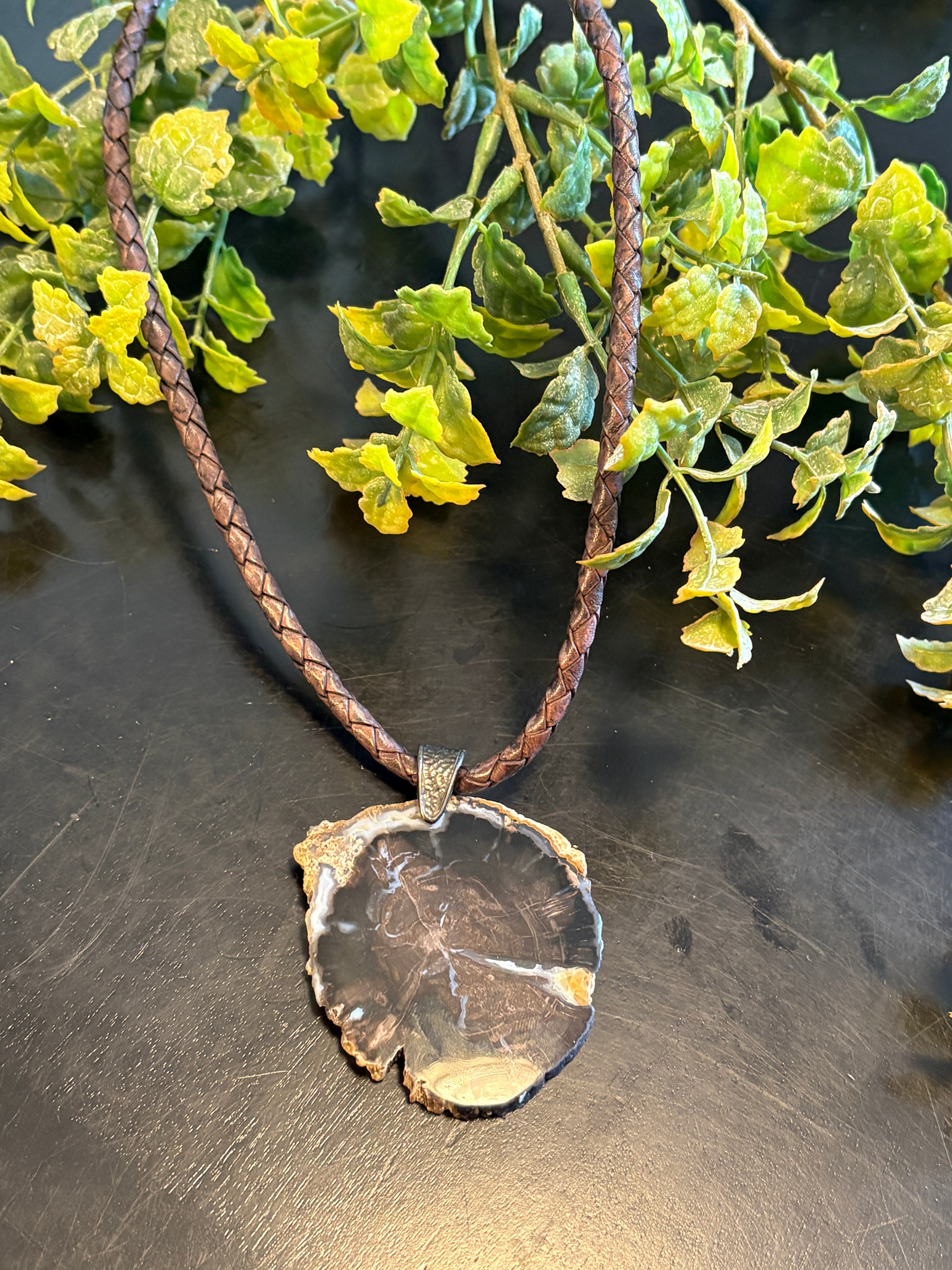 Petrified Wood Necklace LN20