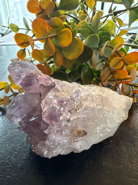 Amethyst Druzy Cluster (3)