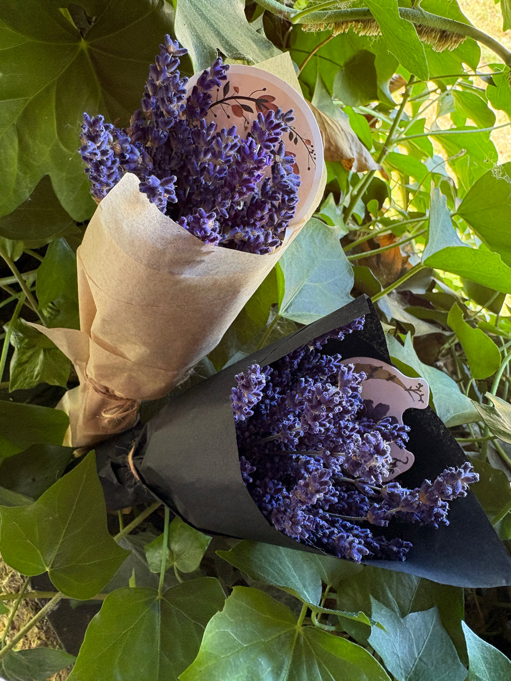 Homegrown Lavender Ritual Bundle | Hand Harvested Dried Lavender