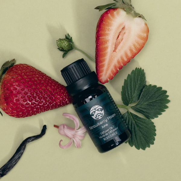 JUNE STRAWBERRY MOON DIFFUSER OIL | RASPBERRY + BLACK PLUM + VANILLA