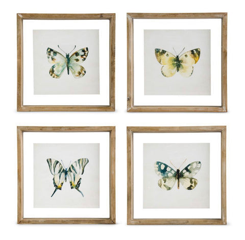 Whitewashed Shadowbox Framed Butterfly Print