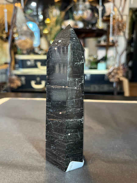 Black Tourmaline w/ Hematite Generator #6