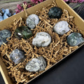 Moss Agate Skull 2”