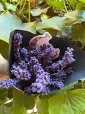 Homegrown Lavender Ritual Bundle | Hand Harvested Dried Lavender