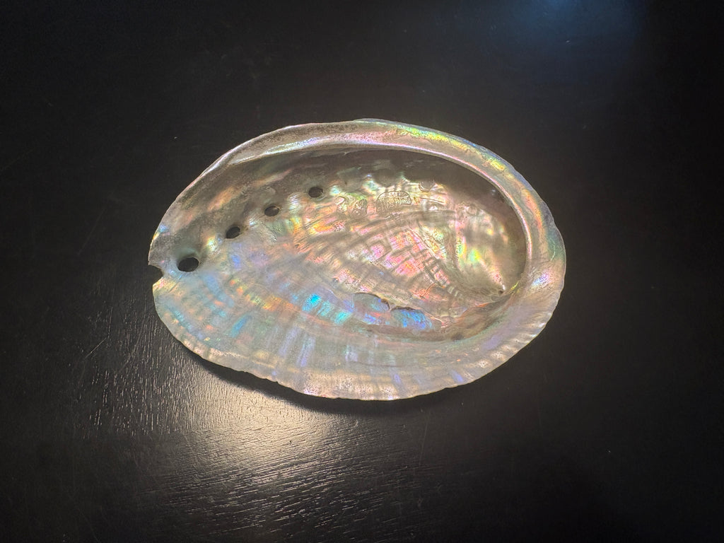 Abalone Shells