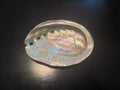 Abalone Shells