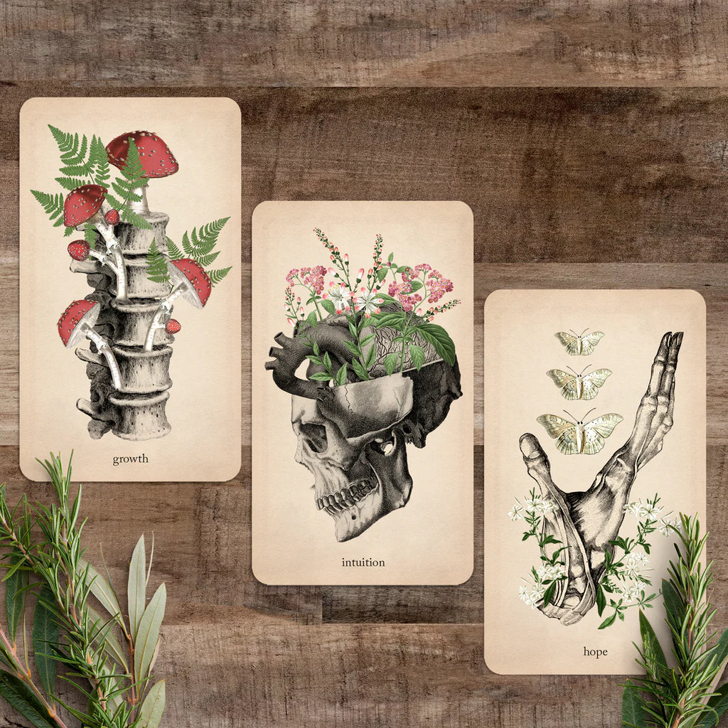Oracle of Oddities: Oracle Deck