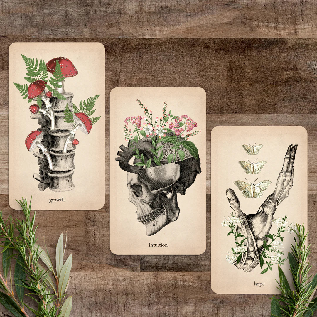 Oracle of Oddities: Oracle Deck