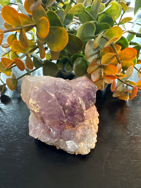 Amethyst Druzy Cluster (3)