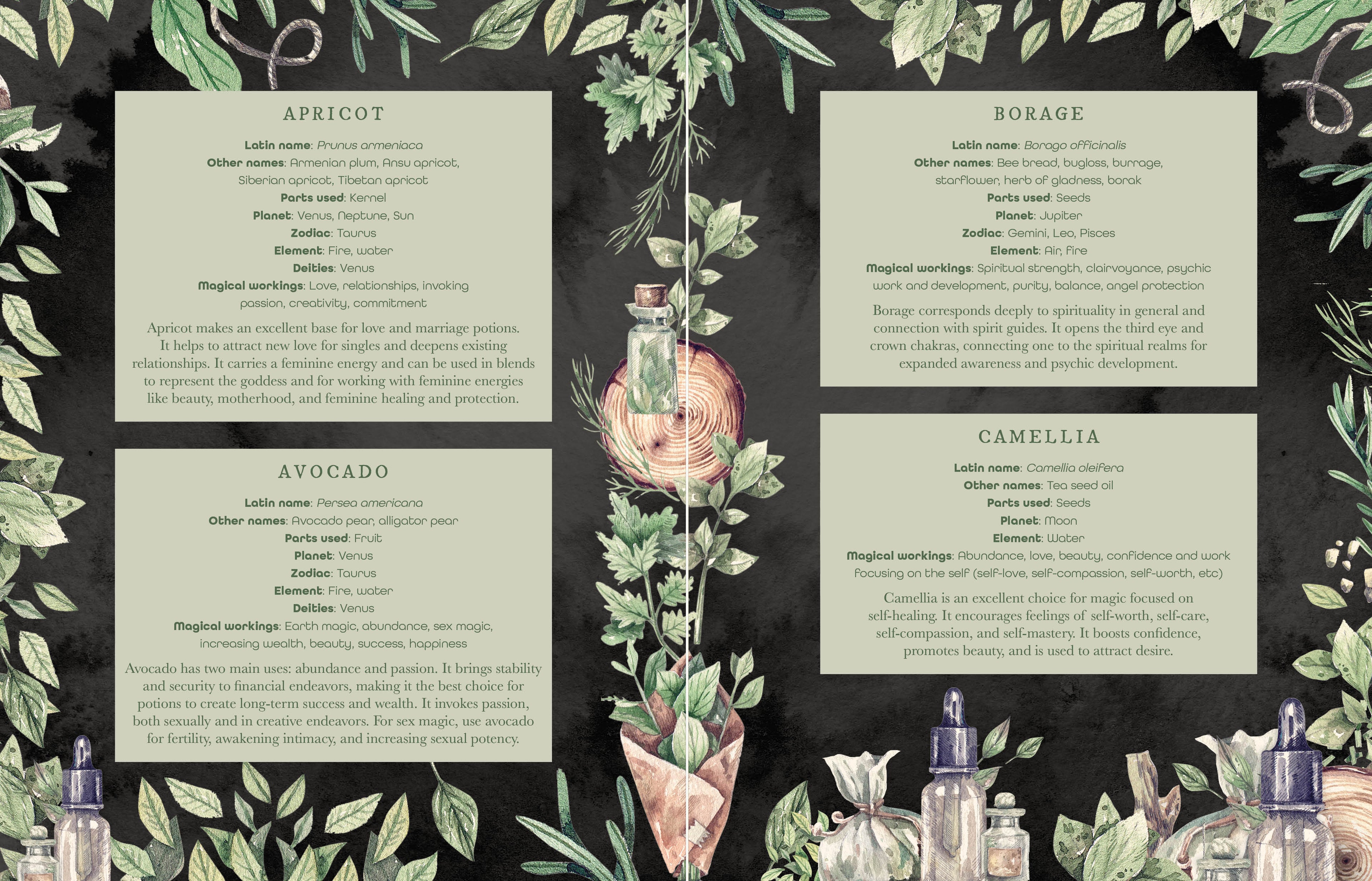 The Witch's Apothecary